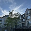 에덴작은도서관 | 에덴파라다이스 호텔 :: 슈페리어 가든 룸, 부대시설 내돈내산 후기 (ft. 조식, 라이브러리, 티하우스에덴)