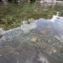 명돈골캠핑장 이미지