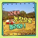고려대학교 덕소농장 이미지