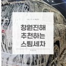 진해더스팀 | 내돈내산, 진해 스팀세차 여기가 제일 잘하는데요?