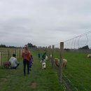 수희농장 이미지