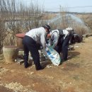 삼기파출소 이미지