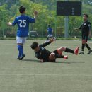 탄천변제1체육공원 Daum카페
