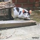 형제 공업사 이미지