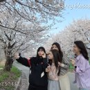 뮤지컬 문나이트 | 4월 주말일상 계룡 벚꽃엔딩 뮤지컬 문나이트 관람후기
