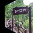 제703차, 월아산 "정원박람회" 길과 금호지 둘레길 걷기(동영상) 이미지