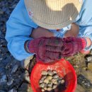 노블레스팬션 이미지