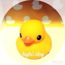드림랜드모텔 | 미얀마 숙소 및 교통 후기, 예약 방법