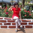 고은햇살 이미지