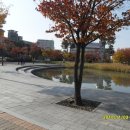 선부광장 이미지