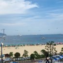 송도통큰조개 이미지