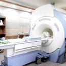 헬릭스동물메디컬센터 이미지