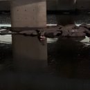 다온다덴트 | Jan | 404, 백지를 내도 백 점