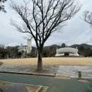 일월바지락칼국수 이미지