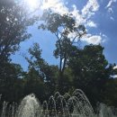 갤러리101식당 | 소피아 여행 하루 코스 추천 / 내셔널 갤러리·고고학 박물관·파라다이스 몰·야경까지