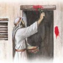 유대인의 3대 절기 이미지