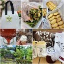 산바라기마을