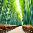대숲향기 이미지