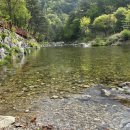 김삿갓 계곡 캠핑장 이미지