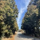 병호목장 이미지