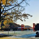 보물섬캠핑장 이미지