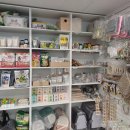 앵무새동물원 이미지