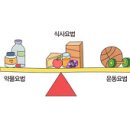 비만 (Obesity)증상 이미지