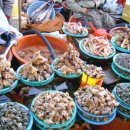 장사회집 이미지