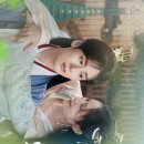 삼림영상 이미지