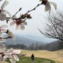 안성베네스트골프클럽휴게소4 | 안성 베네스트 CC 근처 맛집 라운딩 후기