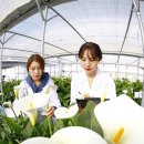 칼라노래방 이미지