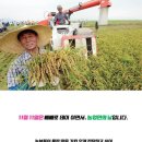 유나이티드 미르태권도장 이미지