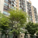 방배우성아파트 109동 앞 횡단보도 | [임장후기1] 사당역 방배 우성아파트, 사당역 방배 래미안 미니 임장 다녀온 후기