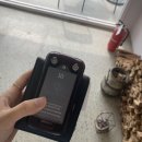 기장애견 이미지