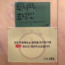 랜드숲 | [용인 에버랜드] 우동숲 내돈내산 솔직후기