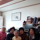 데레사과일 이미지