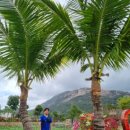 천해목장 이미지