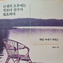 인생의 오후에는 적보다 친구가 필요하다 - 김범준 지음 *** 이미지