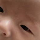 아란소아청소년과의원 이미지