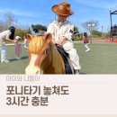 포니랜드 | 렛츠런파크 포니랜드 후기 │ 포니타기 놓쳐도 3시간 놀 수 있었던 이유
