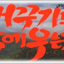 뻐꾸기PC 이미지