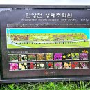 올레길 도심형 1코스 이미지