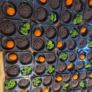 표선초등학교 병설유치원 이미지