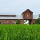 상하 현대목장 이미지