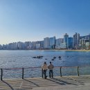 더뉴마켓