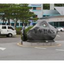 참좋은우리밀칼국수 미디어투데이