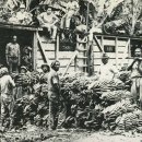 마야무역 이미지