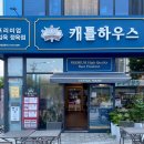 캐틀하우스춘천