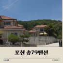숲;79펜션
