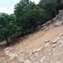 황용목장 이미지